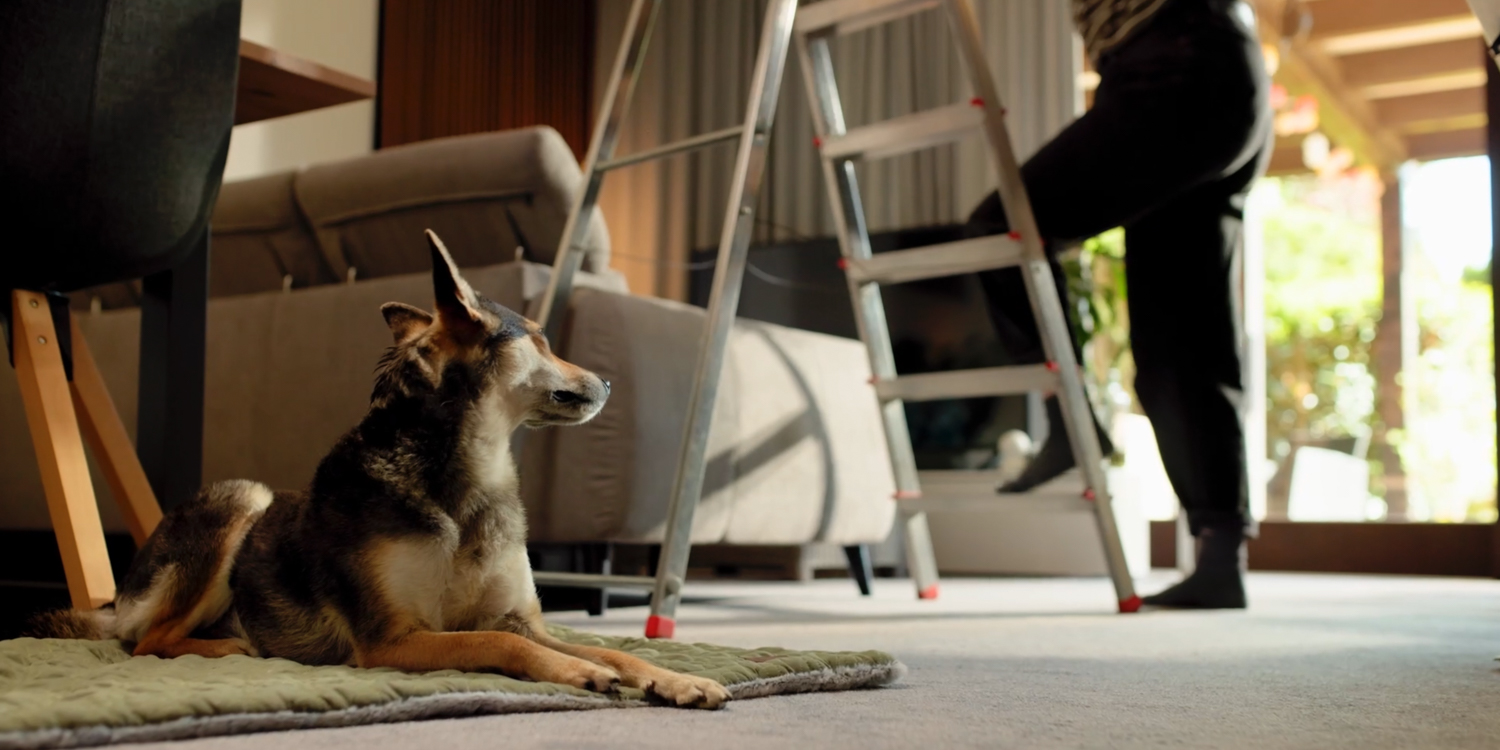 Image HB - Julius Hesse-4